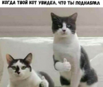 1521484387582.png